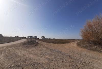 Teren de 4506 mp, în Tunari - 3