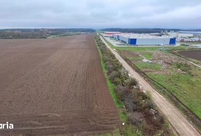 Teren de 10000 mp, în Găneasa - 13