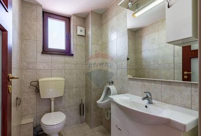 De vanzare cladire multifunc?ionala Calea Ferentari - 17