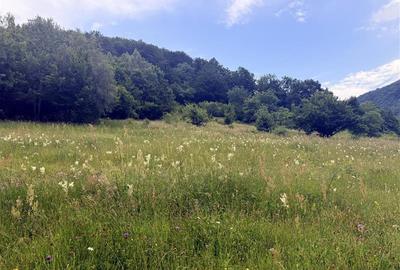 Teren intravilan de 1762 mp, în Someșu Rece - 6