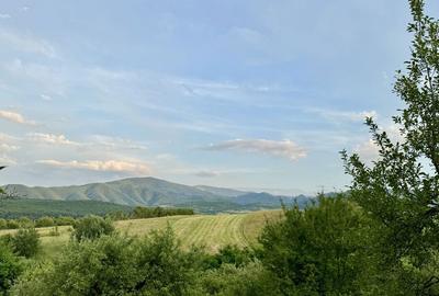 Spațiu comercial, în Central