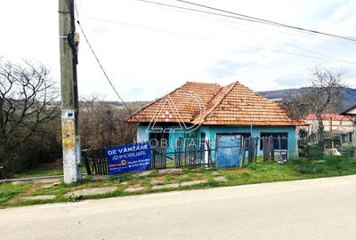 Casă individuală cu 3 camere cu Teren 716 Mp în Baia de Fier - 5