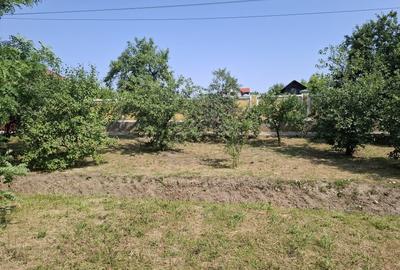 CASĂ MARE in Nadlac cu teren generos 2095mp - 7