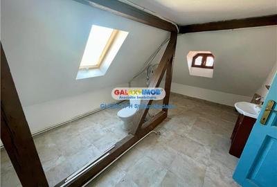 INCHIRIERE SPATII IN VILA INTERBELICA/LOC DE PARCARE/CENTRU, PLOIESTI - 11