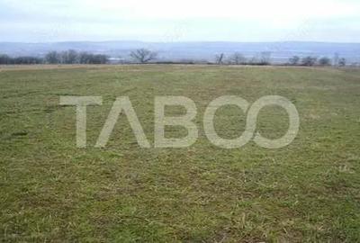 Teren de 3000 mp, în Paltin - 2