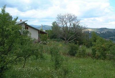 Teren de 974 mp, în Poiana - 5