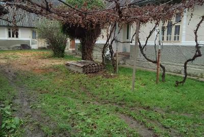 Casă cu 3 camere în Berești - 4