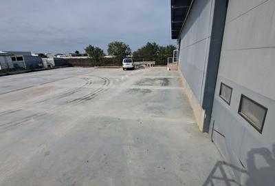 HALA DEPOZITARE CU ETAJ PARTIAL PENTRU BIROURI AMPLASAMENT: OTOPENI - 49