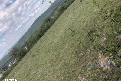 Teren de 500 mp, în Central - 5
