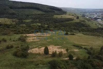 Fara comision! Teren 1000 mp, front 25 ml, PUZ in lucru, zona buna, Feleacu - 1