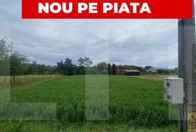 De vanzare teren intravilan 1.080 mp cu utilita?i Dob - 6