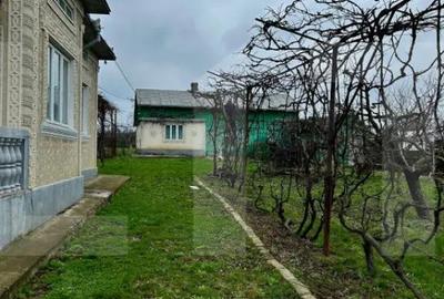 Casă cu 3 camere cu Teren 5810 Mp în Central - 2