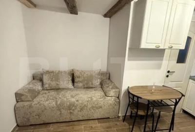 Garsoniera 15mp, prima inchiriere, singur in curte cu ter - 1