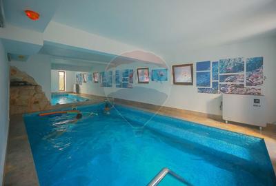 Hotel/Pensiune, de 1,350 mp, în Haieu - 20