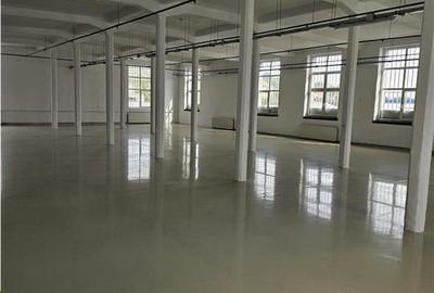 Spatiu Industrial - 3500 mp - Productie - Depozitare - Office - 40