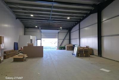 Inchiriere depozit/hala/spatiu industrial Theodor Pallady - Drumul Intre Tarlale - 7