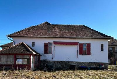 Casă cu 2 camere cu Teren 1000 Mp în Sub Arini - 3
