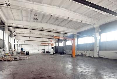Spatiu Productie Logistica si  Depozitare