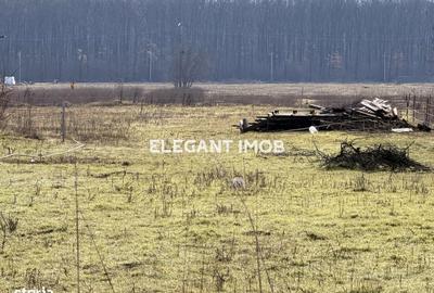 Spațiu comercial, în Ghermănești - 3