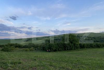 Teren intravilan, 21.450 mp, utilitati, acces autostrada, sat Dumbrava - 8