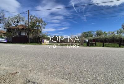 Teren Construcții de 6504 mp, în Curtișoara - 3