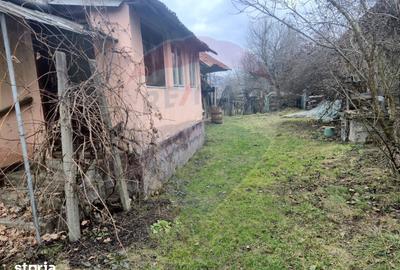 Casă cu 3 camere cu Teren 2821 Mp în Câmpulung la Tisa - 2