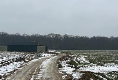 Teren de vanzare ciolpani padurea scrovistea - 4