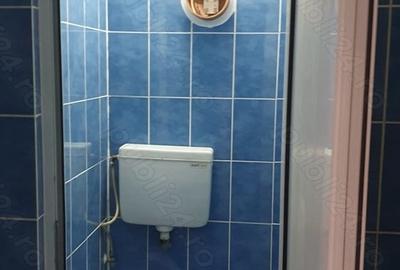Spațiu comercial, de 236 mp, în Slătioara - 4