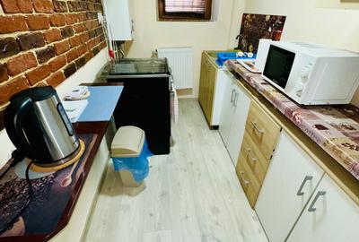 Apartament cu 3 camere decomandat în Ultracentral - 7