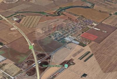 Teren agricol extravilan de 50000 mp, în Sud-Est - 2
