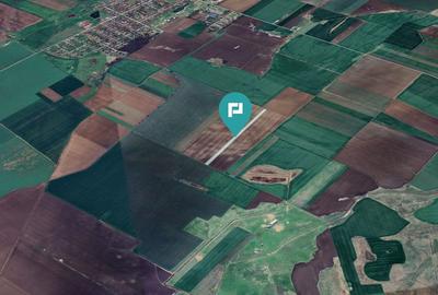 Teren de 30000 mp, în Peciu Nou - 3