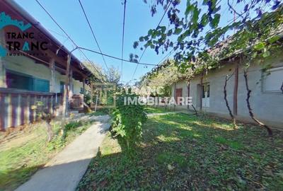 Casă individuală cu 5 camere cu Canalizare în Mișca - 6