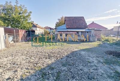 P4695 Casa individuala cu 3 camere in Ghiroda - 10