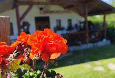 Casă cu 6 camere în Zaharești - 4