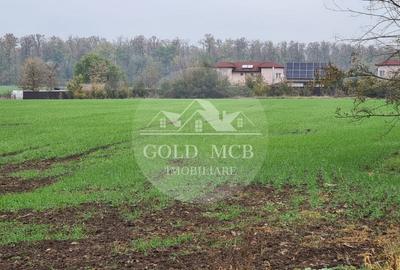 Teren Branesti -Romancierilor - 6