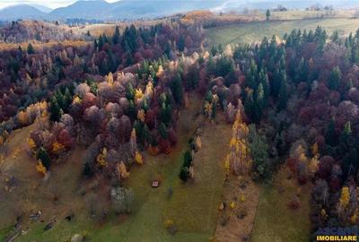 Proprietate autentica, stil traditional:Eco, cu parau pitoresc si vedere spectaculoasa, teren 900 mp - 15