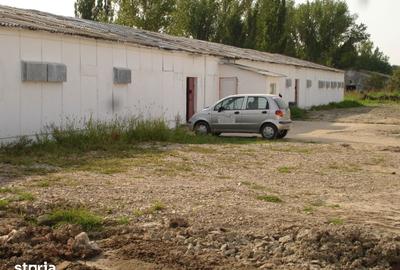 Teren de 180000 mp, în Gai - 9
