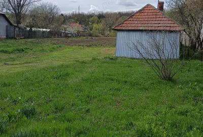 Teren de 4629 mp, în Negreni - 3