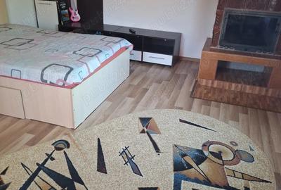 Casă cu Teren 2115 Mp în Urseiu - 6