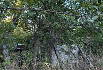 Vand teren 1300 mp inclusiv casa 70mp Racoasa, judetul Vrancea. Vand teren 1300 mp inclusiv casa 70mp Racoasa, judetul Vrancea. - 6