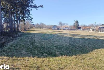 Teren de 4700 mp, în Brusturi - 10