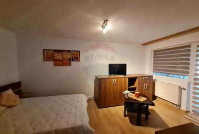 Apartament cu o camera de inchiriat in zona Brailei