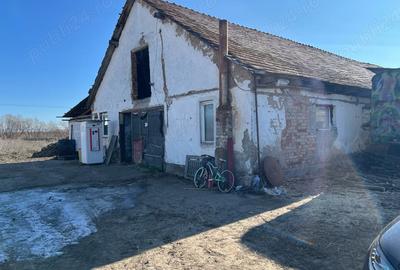 Teren de 700 mp, în Ileni - 4