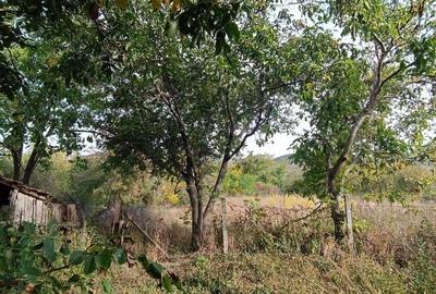 🏡  Casă de Poveste în Șiria, Arad- Locație Rară - 13