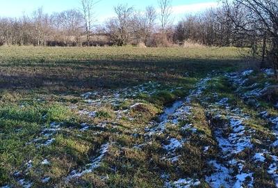 Teren Construcții intravilan de 2234 mp, în Rociu - 3