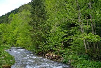 Casă cu 5 camere în Dejani - 5