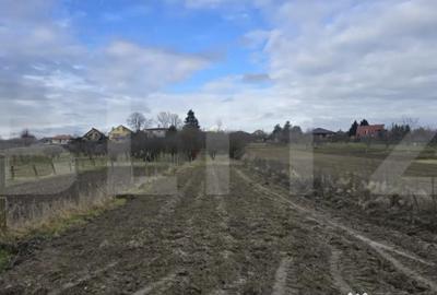 Teren de 1996 mp, în Viile Satu Mare - 7