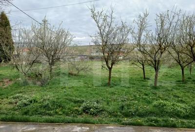 Casă cu 6 camere cu Teren 3000 Mp în Tureni - 4