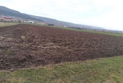 Casă cu 2 camere în Central - 1