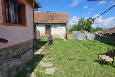 Casă cu 2 camere cu Teren 1427 Mp în Rogoz - 10